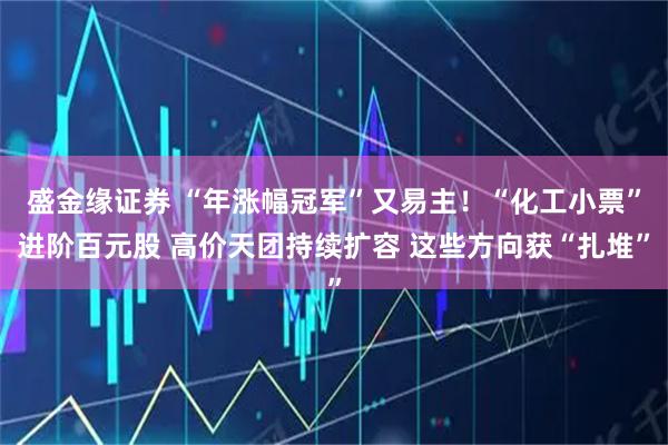 盛金緣證券 “年漲幅冠軍”又易主！“化工小票”進階百元股 高價天團持續(xù)擴容 這些方向獲“扎堆”