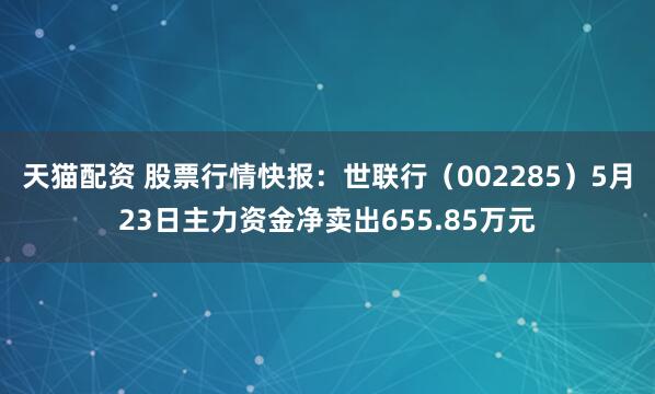 天貓配資 股票行情快報：世聯行（002285）5月23日主力資金凈賣出655.85萬元