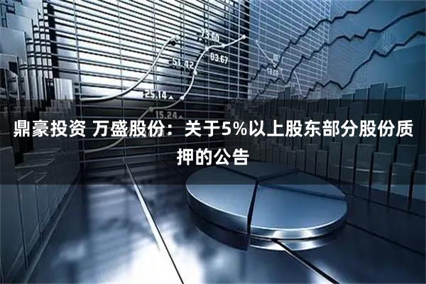 鼎豪投資 萬(wàn)盛股份：關(guān)于5%以上股東部分股份質(zhì)押的公告