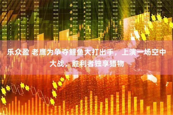 樂眾盈 老鷹為爭奪鯉魚大打出手，上演一場空中大戰(zhàn)，勝利者獨(dú)享獵物