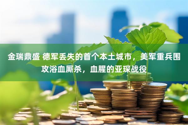 金瑞鼎盛 德軍丟失的首個本土城市，美軍重兵圍攻浴血廝殺，血腥的亞琛戰(zhàn)役